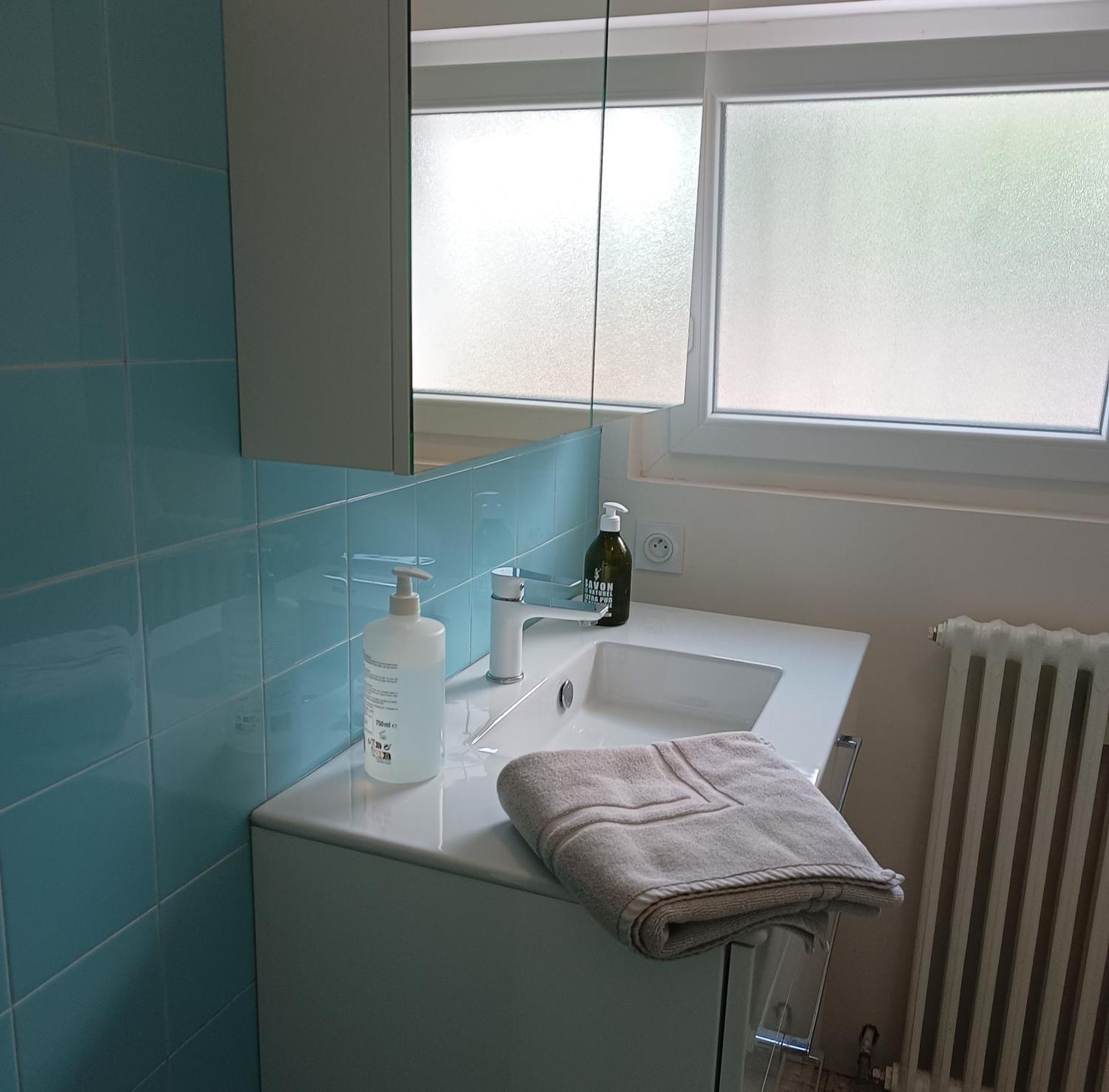 Grand Appartement, 2 Chambres Et Jardin Nîmes Esterno foto